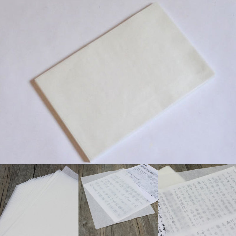 10 Sheets Chinese Calligraphy Rice Xuan Paper Sumi-e Drawing High Ink Absorption