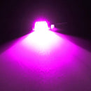 2pcs DC 12V LED License Plate Light Screw Bolt Eagle Eye Lamp For Motorcycle Car Pink