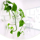 Flower Plant Stand Hanging Vase Hydroponic Ball Transparent Clear Glass Round Terrarium Container Home Wedding Garden Decorations