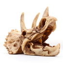 Resin Model Triceratops Dinosaur Skull Head Teaching Bone Collectible Craft Gift Decorations