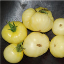 Egrow 100Pcs/Pack White Tomato Seeds Gardening Plants Tasty Vegetable Fruit Seeds