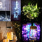 12V 5M 50LED Silver Wire Christmas String Fairy Light Remote Controller with Adapter