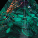 Himalayas Stone Orgone Pyramid Energy Generator Tower Home Reiki Healing Crystal Decorations