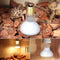 E27 25W 40W 60W 75W 100W UVA Light Bulb Reptile Pet Terrarium Brooder Heater Lamp AC220-240V