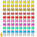 80PCS 3-40 AMP Car Fuse Set Insert Type Medium Fuse Protection Device Combination with Fuse Clip