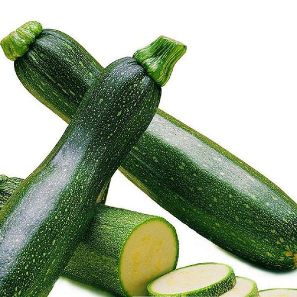 Egrow 20 Pcs/Pack Zucchini Squash Seed Vegetable Fruits Seasons Melon Seeds For Home Garden Planting