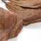 10Pcs Aquarium Natural Terminalia Leaves Reduce Ph Improve Water Quality Water Purifier