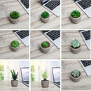 10Pcs PVC Artificial Succulent Flocking Plants Foliage  Landscape Garden Decorations