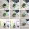 10Pcs PVC Artificial Succulent Flocking Plants Foliage  Landscape Garden Decorations