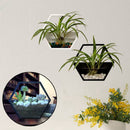 Handmade Acrylic Chlorophytum Flower Pot Scindapsus Hexagon Hanging Wall Decoration