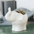 Ceramic Succulent Plant Container Flower Pot Planter Holder Vase Animal Shape Decorations