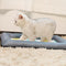 Summer Pet Cooling Mat Cat Mat Quadrate Printed iced Mat Cat Bed