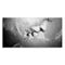 Black & White Love Kiss Wall Art Picture Print Abstract Arts on Paintings For Room Decorations