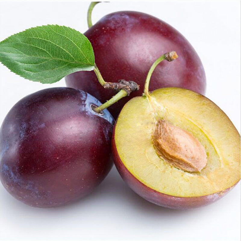 Egrow 5Pcs/Bag Plums Seeds Chinese Round Plums Fruit Red Li Zi Tree Seeds Spring Bonsai Garden Plant