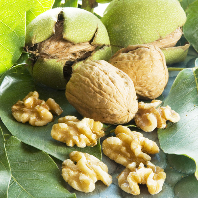 Egrow 2Pcs/Bag Green Walnut Seeds Chinese Specialty Green Walnut Seeds New Rare Walnut Seeds