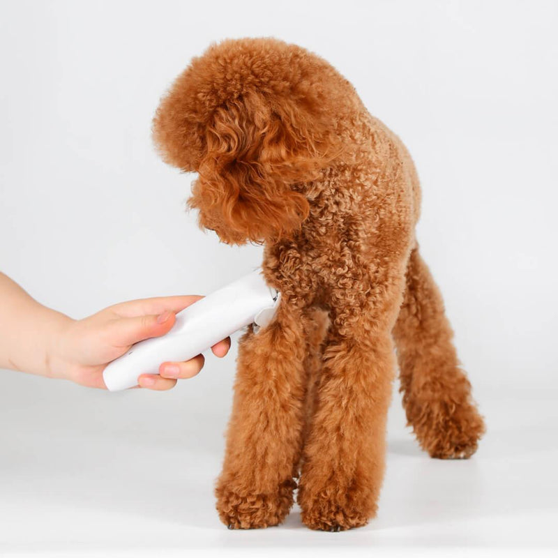 Pawbby Pets USB Rechargable Hair Trimmers Professional Dog/Cat Pet Grooming Electrical Pets Hair Clippers Pets Shaver From Xiaomi Youpin