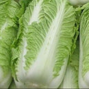 100Pcs Chinese Delicious Cabbage Seeds Nutritious Green Vegetable Seeds Brassica Plants Garden