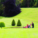 Egrow 1000 PCS/Pack Turfgrass Seeds Green Source Turfgrass Grass Plant Evergreen Lawn Plantas Flower Flores Home Garden Bonsai