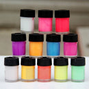 Luckyfine 12 Colors DIY Neon Luminous Paint Ultrabright Fluorescent Paint Set with 2 Painting Brush