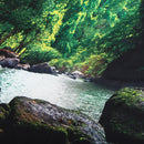 3D Trees Great Waterfall Print Wall Hanging Tapestry Decor Bedspread