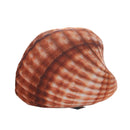 Marine Life Plush Pillows Conch & Shell & Starfish Stuffed Plush Toy Cute Cushion Dolls