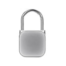 Fingerprint Lock Portable Mini Anti-Theft Smart Fingerprint Keyless Security Lock for Wardrobe Cabinet Box