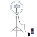 PULUZ PU411 12 Inch 6000-6500k Dimmable LED RGB Video Ring Light with Remote Control for Selfie Vlog Tik Tok Youtube Live Streaming