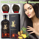 200ml Natural Ginger Shampoo Oil-Control Anti Dandruff Anti Hair Loss Hair Growth Essence