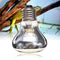 E27 25/40/50/60/75/100W R63 Amphibian UVA Halogen Lamp Heat Reptile Light Bulb AC220-240V