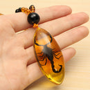 Unique Natural Insects Amber Scorpion Inclusion Pendant Necklace Gemstone Ornament Crafts Gifts Decorations