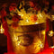KCASA 10 LED Metal Polygon String Lights LED Fairy Lights for Festival Christmas Decoration