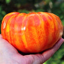 Egrow 100Pcs/Pack Red Green Yellow Tomato Seed Greenhouse Potted Organic Vegetable& Fruit Seeds