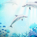 Waterproof Shower Curtain Underwater World Dolphin Bathroom Mat Hook Home