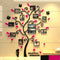 3D Photo Family Tree Wall Sticker Decal Sticker Mural DIY Home Baby Bedroom Decoration