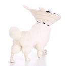 Pet Health Recovery Elizabethan Collar Protection Durable Comfortable Cat Pet Collar