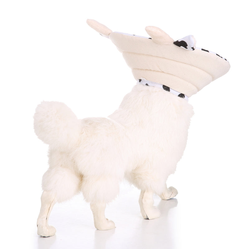 Pet Health Recovery Elizabethan Collar Protection Durable Comfortable Cat Pet Collar