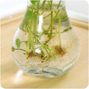 Mrosaa 14.5*7.3*5.5cm Transparent Glass Vase Flower Plant Vases Home Garden Office Decorations