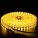 1M 2M 3M 5M 10M Waterproof AC220V EU Plug SMD5050 LED Strip Light  Flexible Rope Tape Home Outdoor Lamp