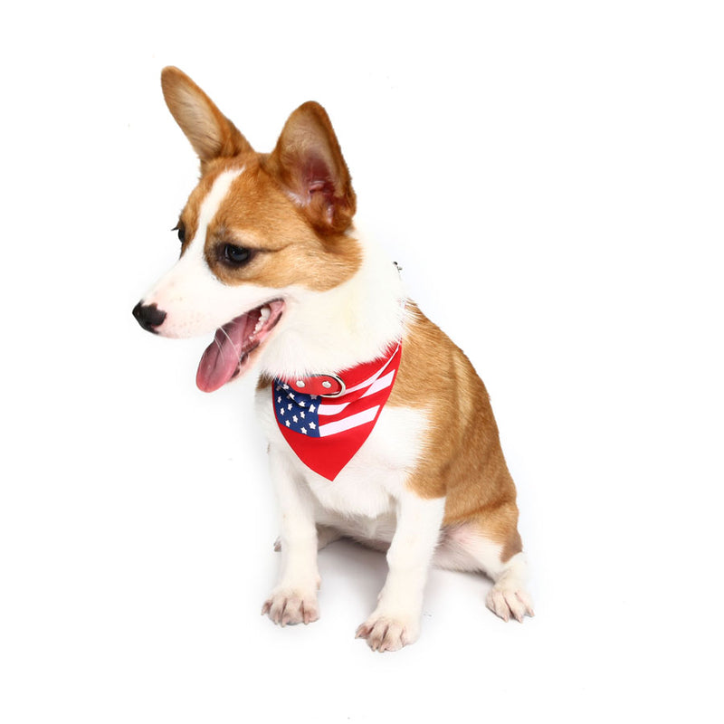 Yani HG-PLJ1 Pet Dog American Flag Collar Pet PU Canvas Decorative Cool Collar