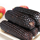Egrow 30Pcs/Pack Black Waxy Corn Seeds Gardening Farm Vegetable Maize Black Sticky Corn Seeds