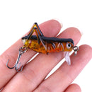 KC005-X 5Pcs/Set 3.5cm 3g Cricket Lure Insect Bait Fishing Lure Hard Bait Isca Artificial Lure