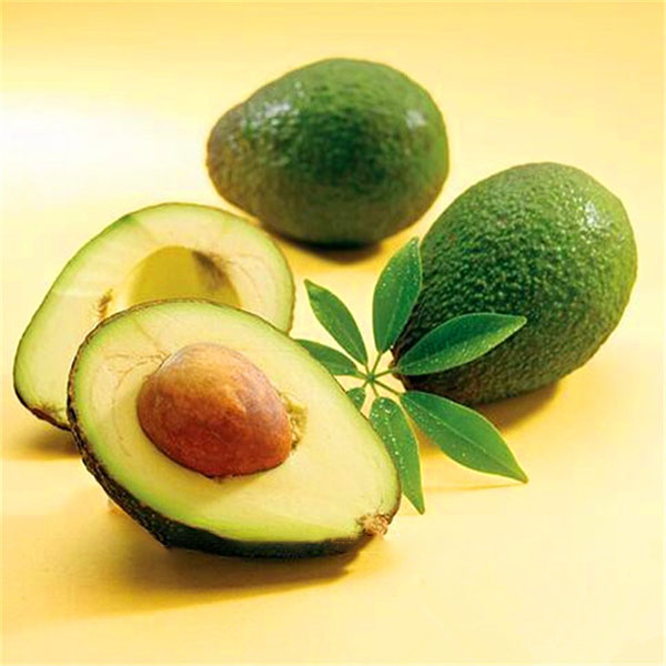 Egrow 10Pcs/Pack Avocado Seeds Persea Americana Mill Pear Seed DIY Healthy Fruit Salad