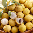 Egrow 4pcs/Bag Longan Seeds Live DRAGON'S EYE Exotic LONGAN Dimocarpus Sweet Fruit Tree Seeds