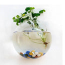 Creative Wall Hanging Transparent Glass Vase Hydroponic Living Room Home Decor