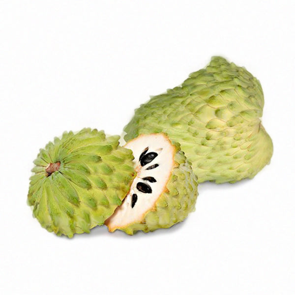 Egrow 20Pcs/Pack Soursop Seeds Graviola Guanabana Annona Muricata Garden Rare Fruit Tree Seed