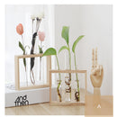 Nordic Test Tube Glass Vase Hydroponic Vase Hydroponic System Elegant Tabletop Vase For Water Planting Flower Arrangement Decoration Gift