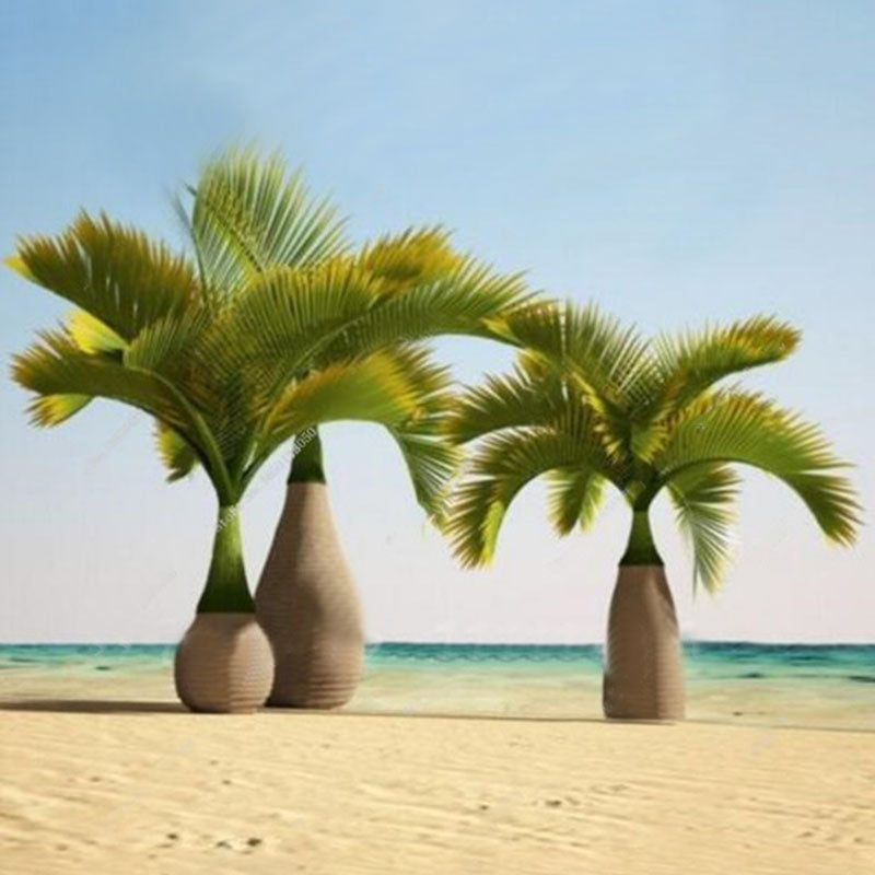 Egrow 20 Pcs Exotic Bottle Palm Seeds Bonsai Tropical Ornamental Tree Plant Seeds Garden Planting