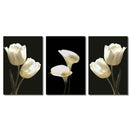 Miico Hand Painted Three Combination Decorative Paintings Botanic White Flower Wall Art For Home Decoration