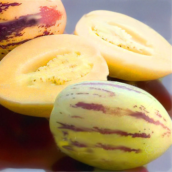 Egrow 100 Pcs/Pack Sweet Melon Seeds Rare Melon Fruit Plant Seeds Garden Yard Balcony Vegetable Seed