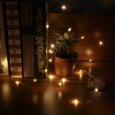 LUSTREON DC3V Warm White Yellow 2M Silver Wire Turn On LED String Light for Christmas Holiday Vase Decor